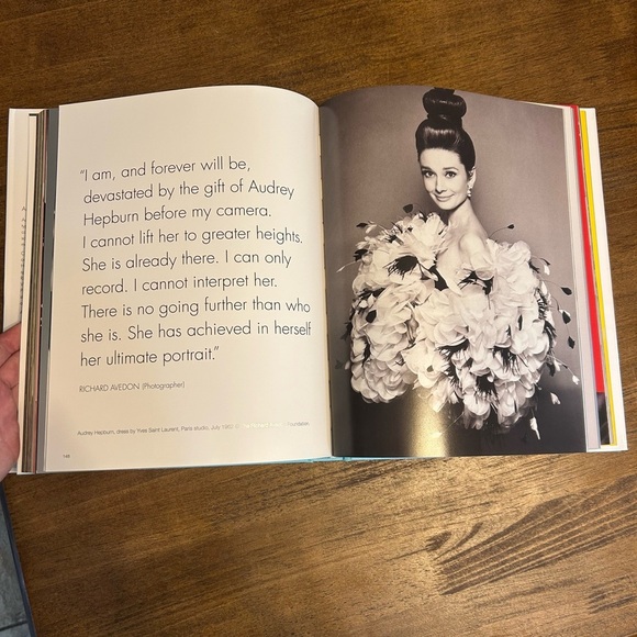 Audrey The 60s Book by David Wills and Stephen Schmidt Hardcover - Picture 6 of 7